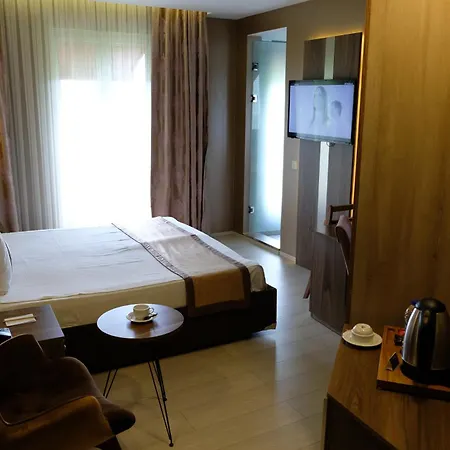 Hotel Turk Ferro Bursa