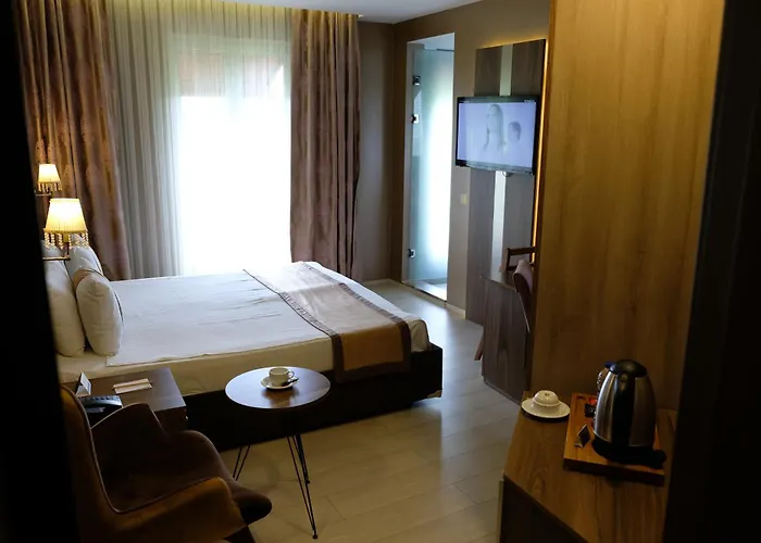 Hotel Turk Ferro Bursa