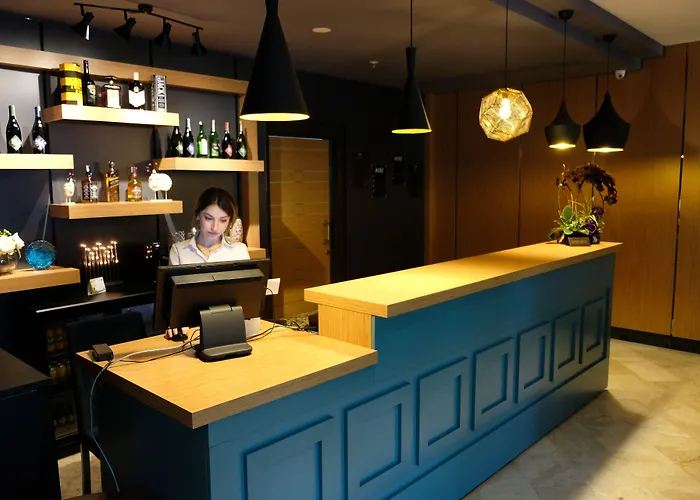Turk Ferro Hotel Bursa