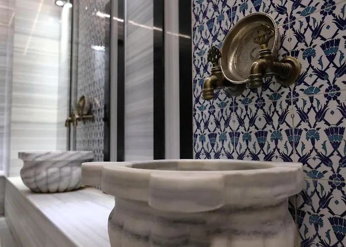 Turk Ferro Hotel Bursa